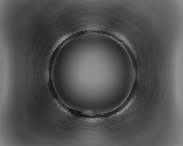X0000088380829200705221052