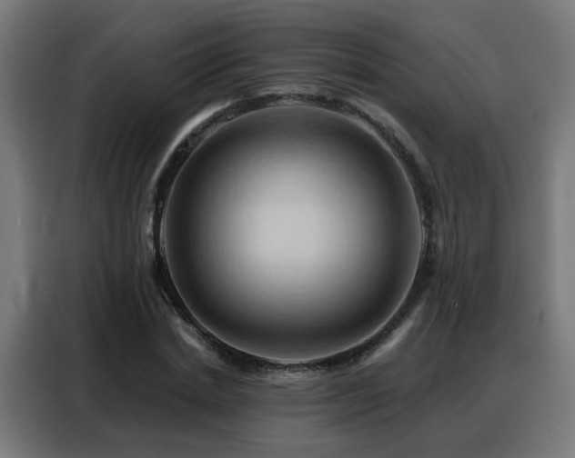 X0000088380830200705221052