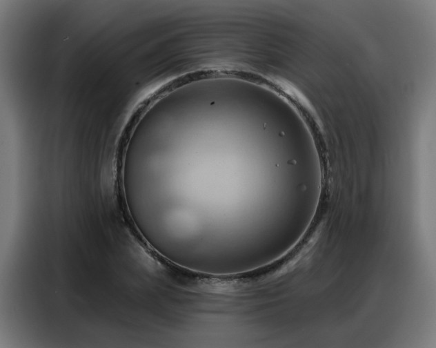 X0000088380831200705221052
