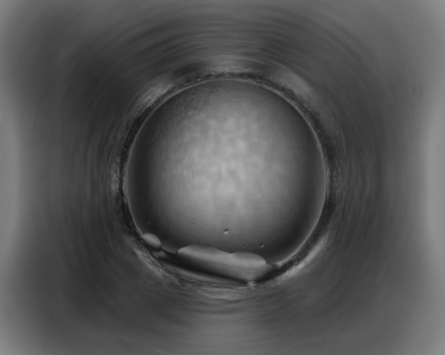X0000088380833200705221052