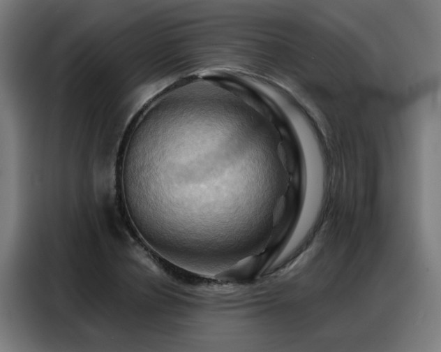 X0000088380834200705221052