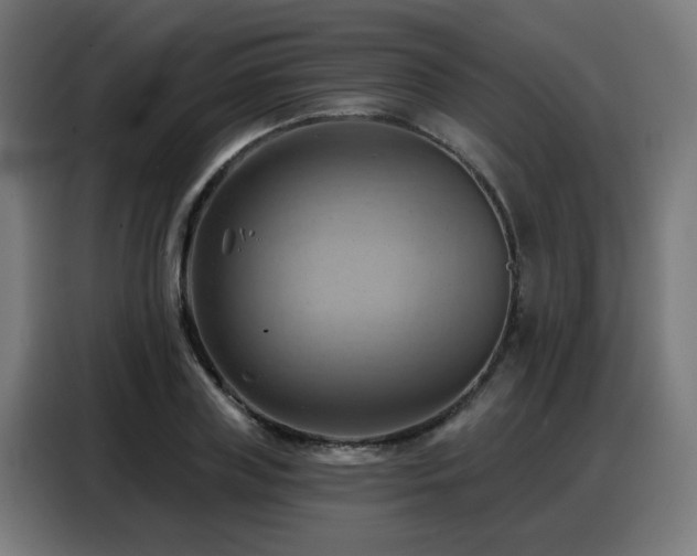 X0000088380835200705221052