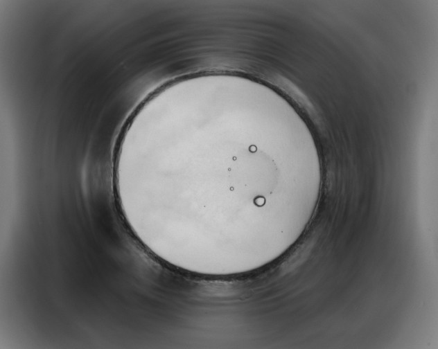 X0000088380836200705221052