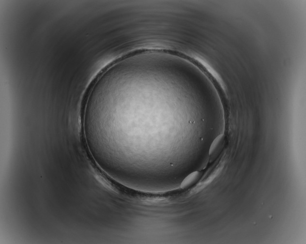 X0000088380837200705221052