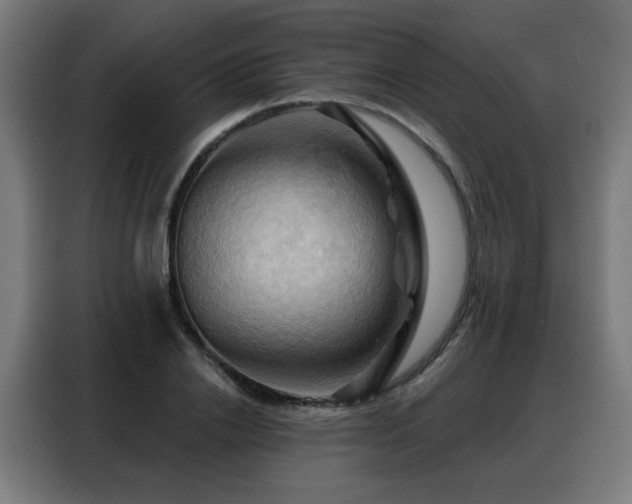 X0000088380838200705221052