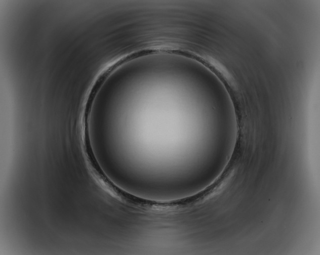 X0000088380840200705221052