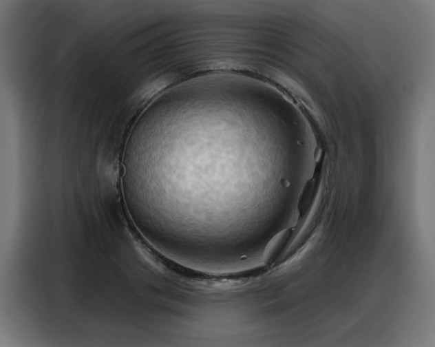 X0000088380841200705221052