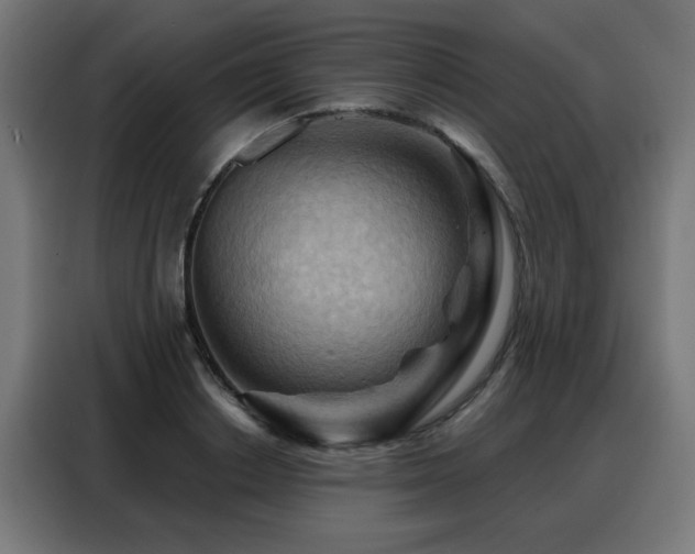 X0000088380842200705221052