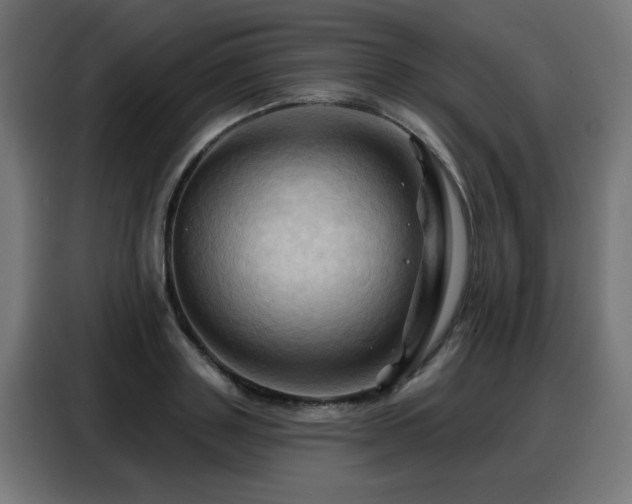 X0000088380843200705221052