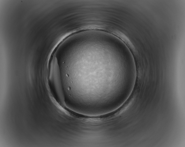 X0000088380844200705221052