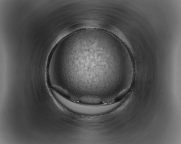 X0000088380845200705221052