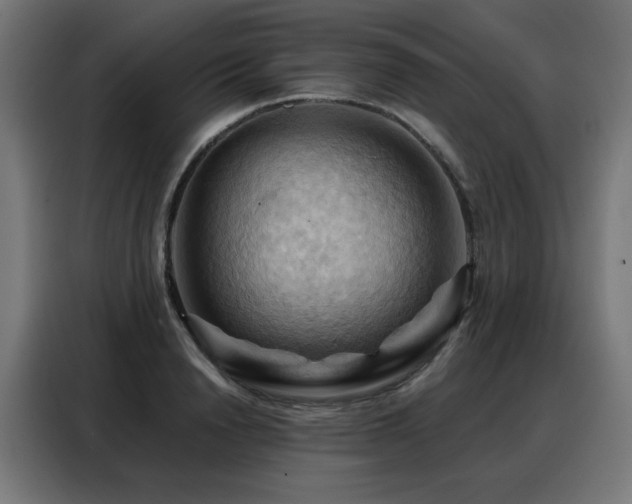 X0000088380846200705221052