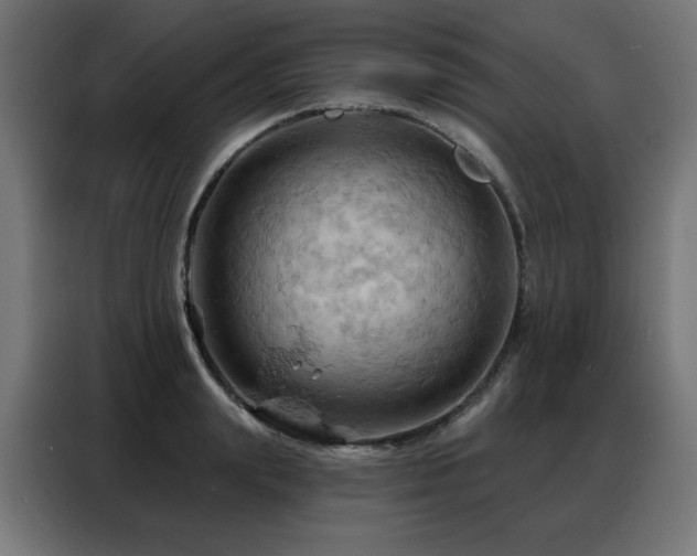 X0000088380847200705221052