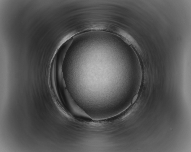X0000088380850200705221052