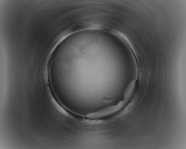 X0000088380851200705221052