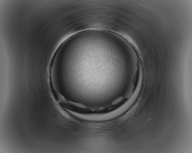 X0000088380854200705221052