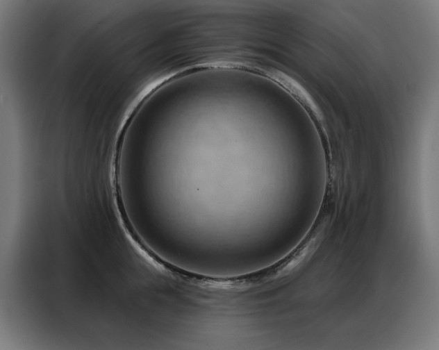 X0000088380855200705221052