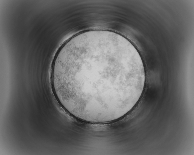 X0000088380856200705221052