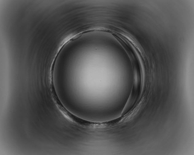 X0000088380858200705221052