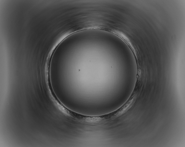 X0000088380859200705221052