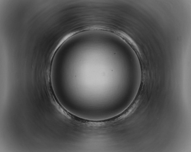 X0000088380860200705221052
