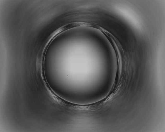 X0000088380861200705221052