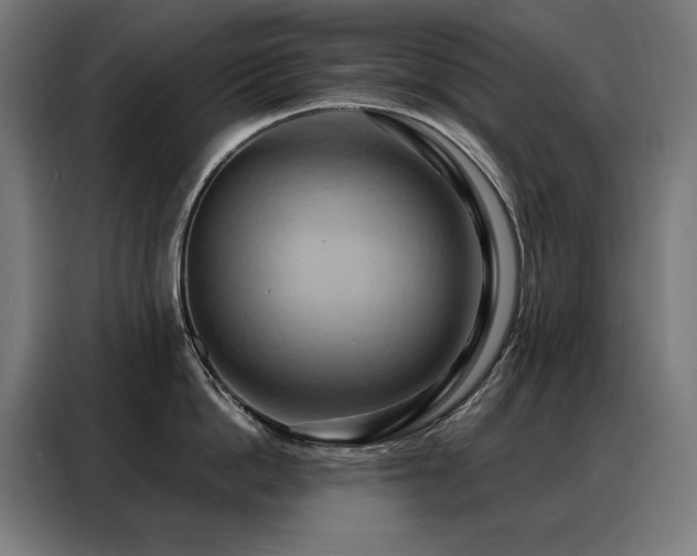 X0000088380862200705221052