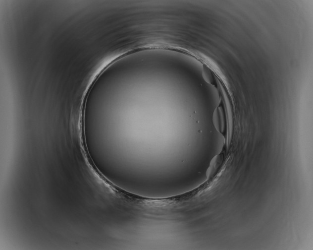 X0000088380863200705221052