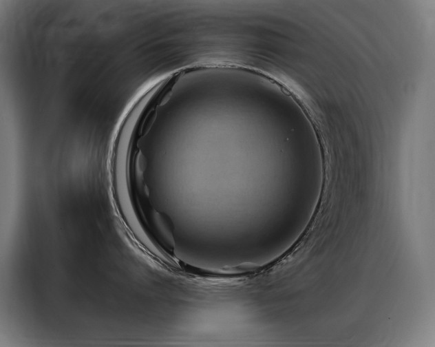 X0000088380864200705221052