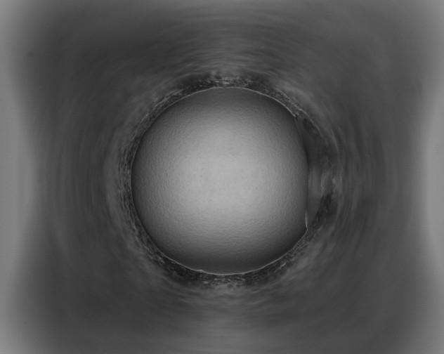 X0000088380865200705221051
