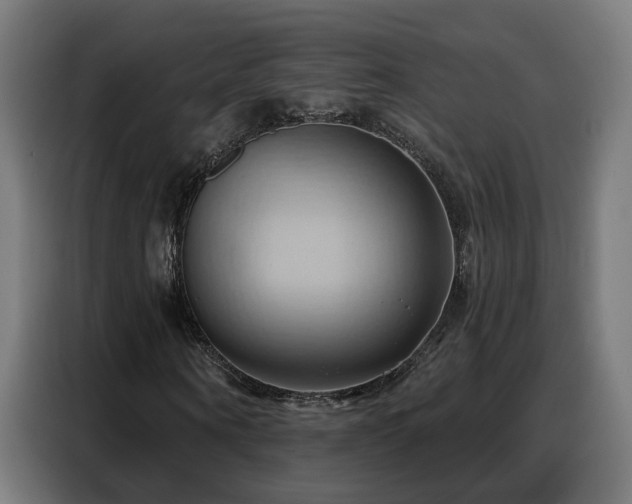 X0000088380866200705221051
