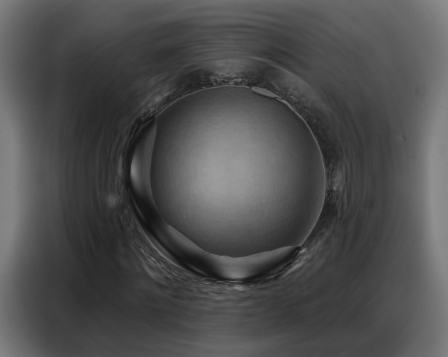 X0000088380868200705221051