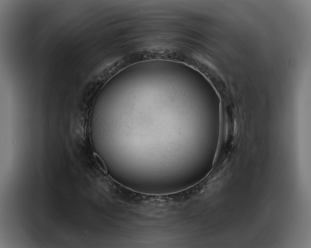 X0000088380869200705221051