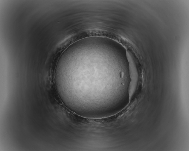 X0000088380870200705221051