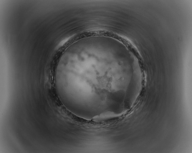 X0000088380871200705221051