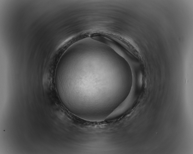 X0000088380872200705221051