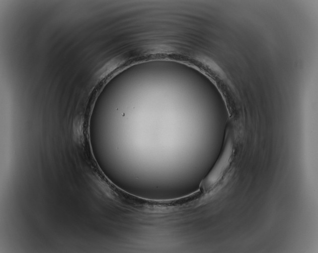 X0000088380873200705221051