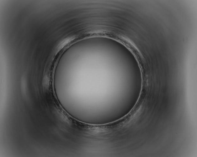 X0000088380874200705221051