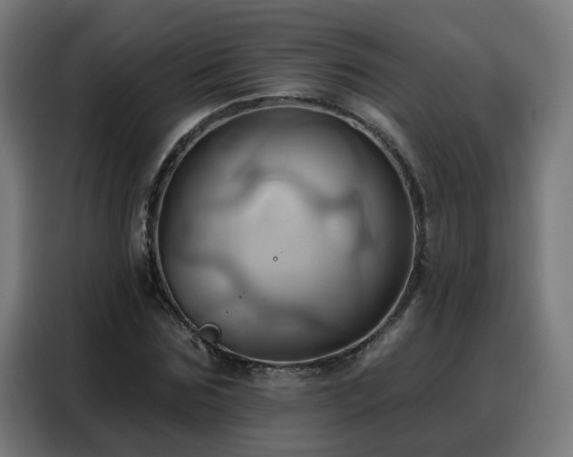 X0000088380875200705221051