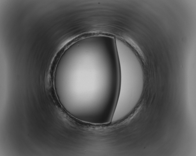 X0000088380876200705221051