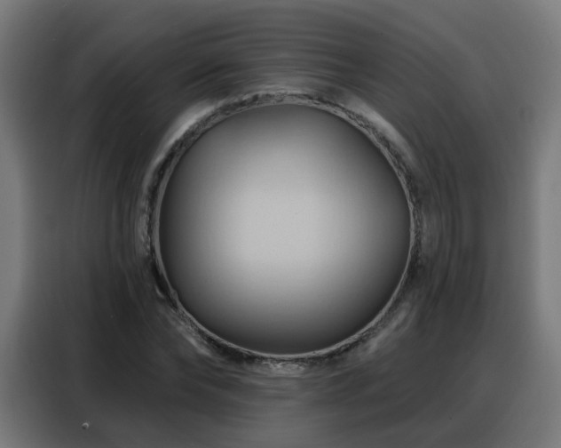 X0000088380878200705221051