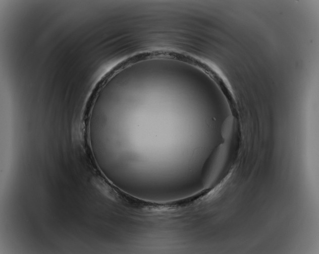 X0000088380879200705221051