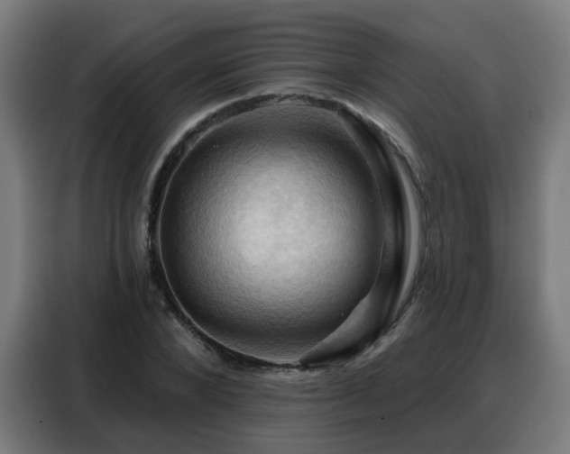 X0000088380880200705221051