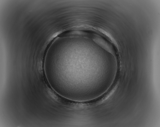 X0000088380881200705221051