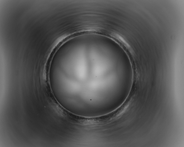X0000088380883200705221051