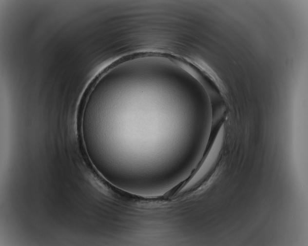 X0000088380884200705221051