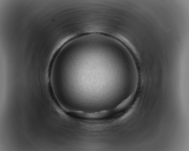 X0000088380885200705221051