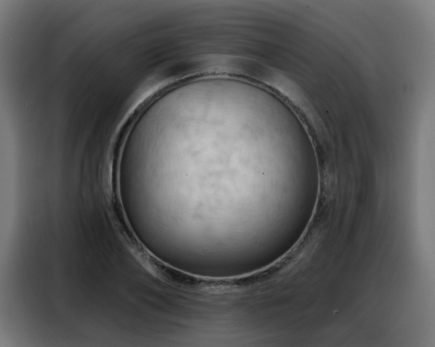 X0000088380886200705221051