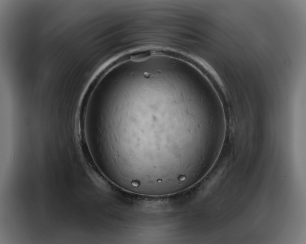 X0000088380887200705221051