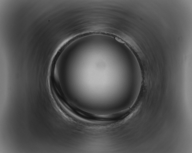 X0000088380888200705221051